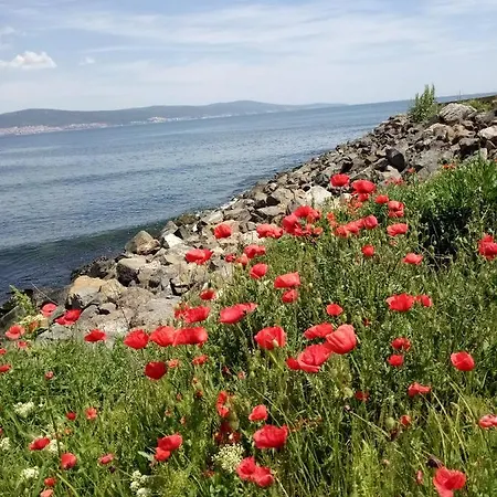 Aparthotel Apartcomplex Royal Sun Sluneční pobřeží