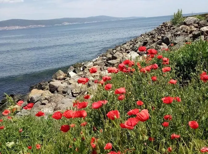 Апартхотел Apartcomplex Royal Sun Слънчев бряг